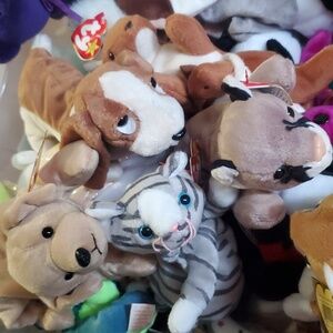 Live Show low starts Original Beanie Babies